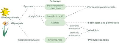 NMR-based plant metabolomics protocols: a step-by-step guide